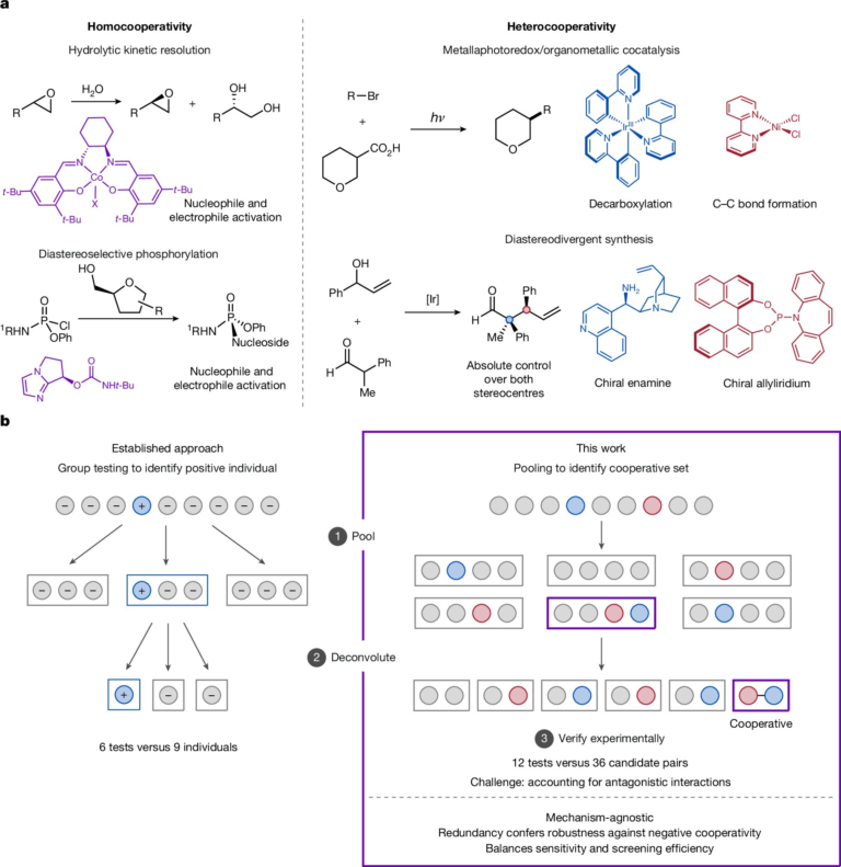 COVID-Era Group Testing Could Transform Drug and Chemical Discovery