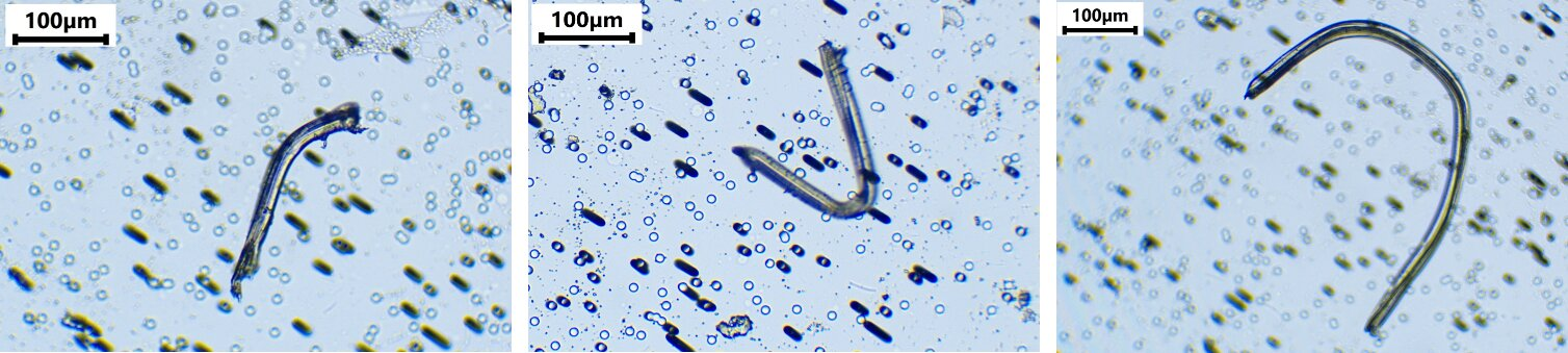 Cigarette Filters Are an Overlooked but Serious Source of Microplastic Pollution