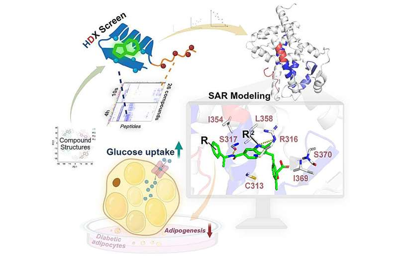 New Group of Potential Diabetes Drugs With Fewer Side Effects Can Reprogram Insulin-Resistant Cells to Be Healthier