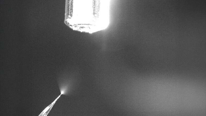 Mass Spec Innovation Uses Smart Bin Sorting to Detect Molecules Scientists Have Been Missing