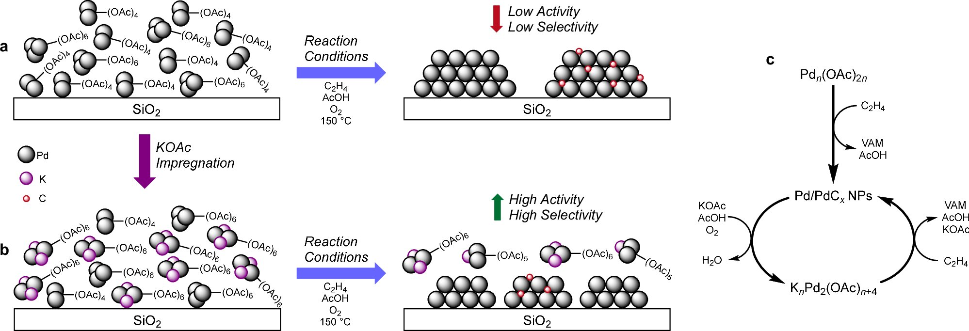 Catalyst Behavior That Could Cut Emissions and Stabilize the Supply of Everyday Materials Revealed