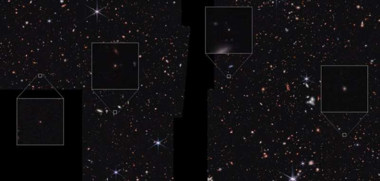 Webb Reveals a Sample of Galaxies With Unusual Features Nicknamed Platypus