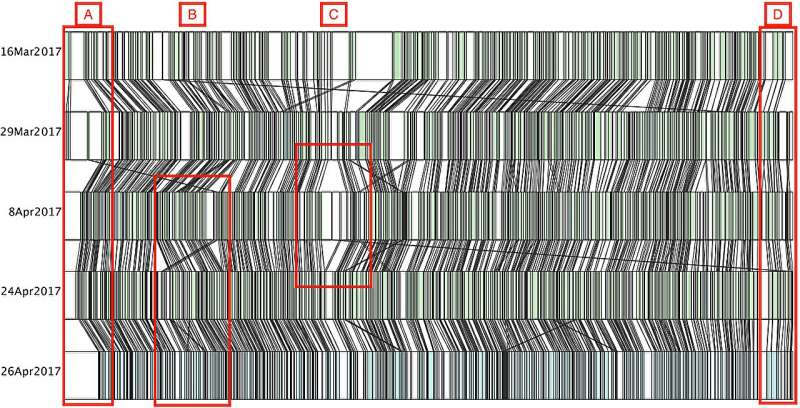 Knock, Knock Mapping Comedic Timing With a Computational Framework