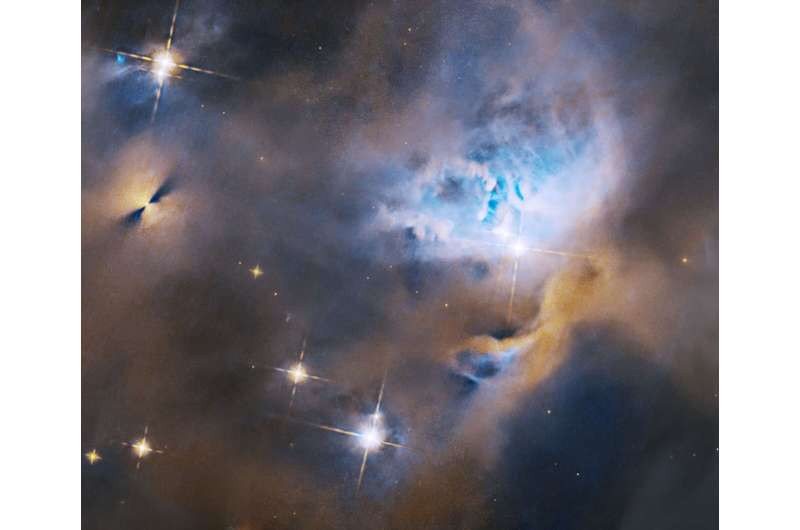 Hubble Nets a Menagerie of Young Stellar Objects in the Star-Forming Region NGC 1333