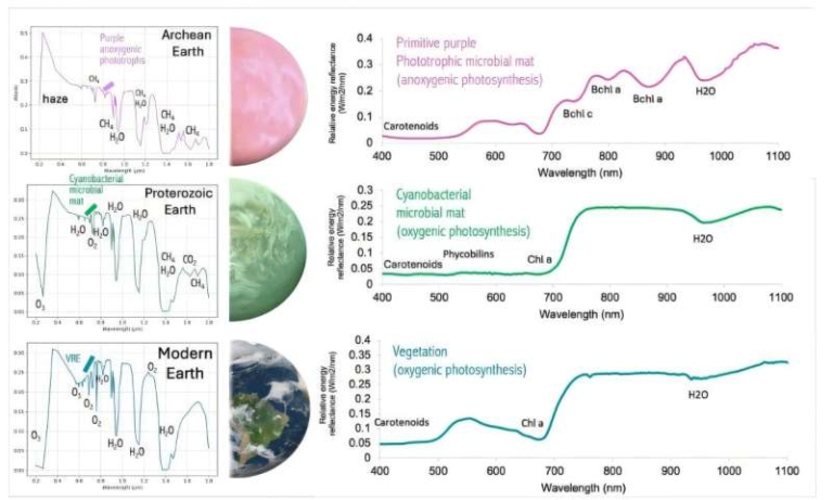 Searching for Green Oceans and Purple Earths as NASA Plans a Telescope to Spot Life Beyond Earth