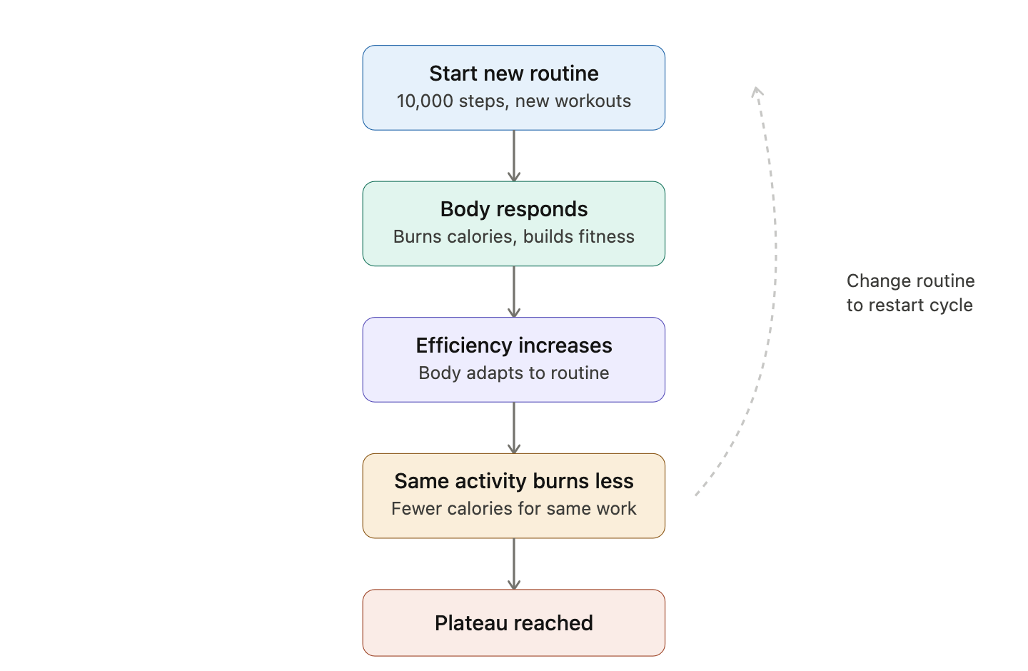 Weight Loss Plateaus and How to Break Through Them Weight Loss Plateaus and How to Break Through Them